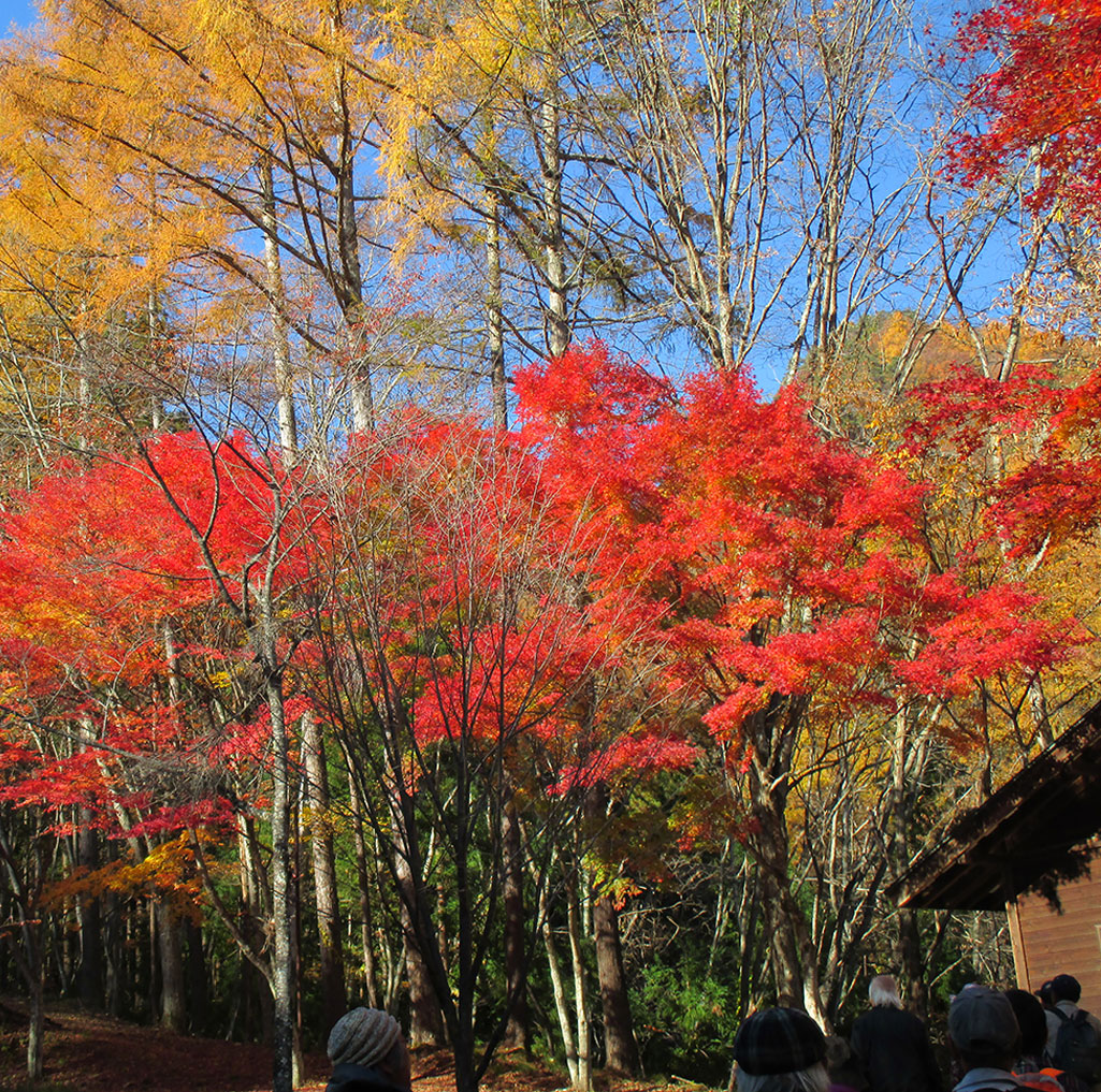 荒倉キャンプ場